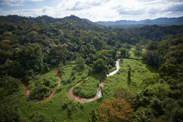 Δύο χαμένες πόλεις ανακαλύφθηκαν στη ζούγκλα της Ονδούρας