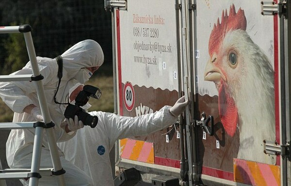 Περισσότερα από 70 είναι τελικά τα πτώματα των προσφύγων στο φορτηγό