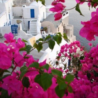 #INSTALIFO: Τρίτη 4 Αυγούστου