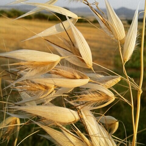 #INSTALIFO: Πέμπτη 30 Ιουλίου
