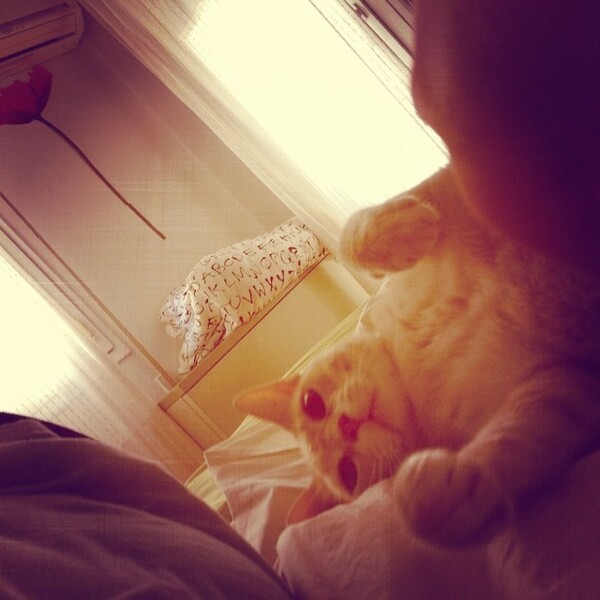#LIFOPETS (60): Αυτά είναι τα κατοικίδιά μας