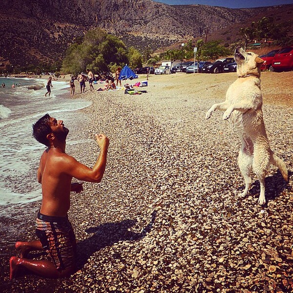 #LIFOPETS (61): Αυτά είναι τα κατοικίδιά μας