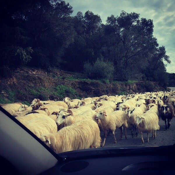 #INSTALIFO: Τετάρτη 17 Δεκεμβρίου