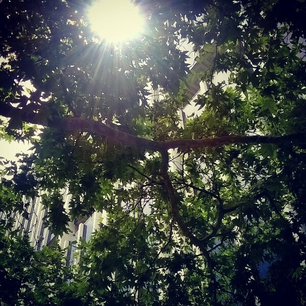 #INSTALIFO: Πέμπτη 28 Μαΐου