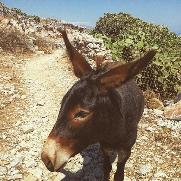 #INSTALIFO: Παρασκευή 4 Σεπτέμβρη