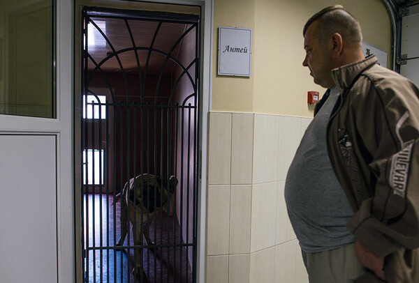 17 πανάκριβοι σκύλοι ξεχασμένοι στην έπαυλη του Γιανουκόβιτς
