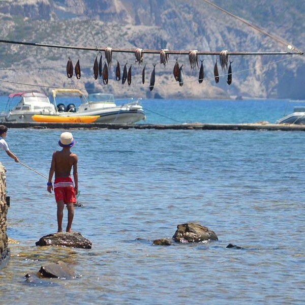 #INSTALIFO: Δευτέρα 27 Ιουλίου