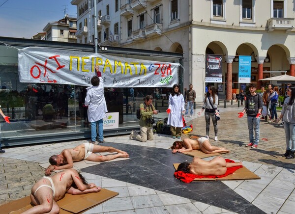 Γυμνοί στην Αριστοτέλους για τα ζώα