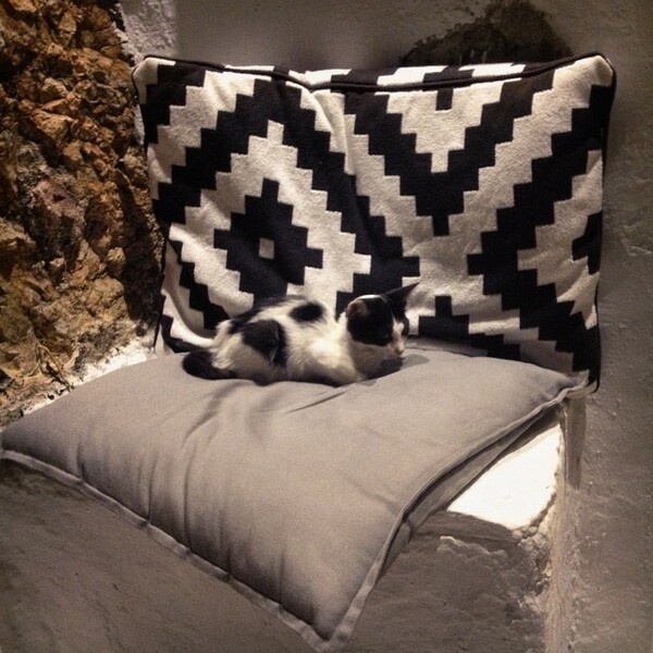 #LIFOPETS (61): Αυτά είναι τα κατοικίδιά μας