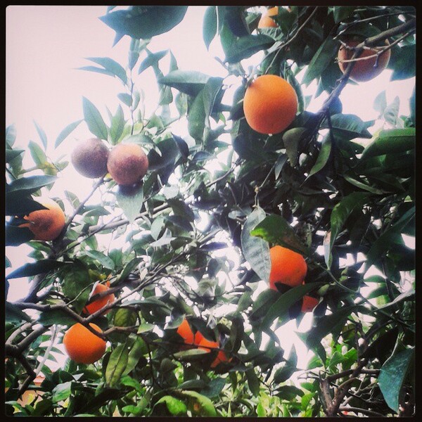#INSTALIFO: Δευτέρα 1 Δεκεμβρίου