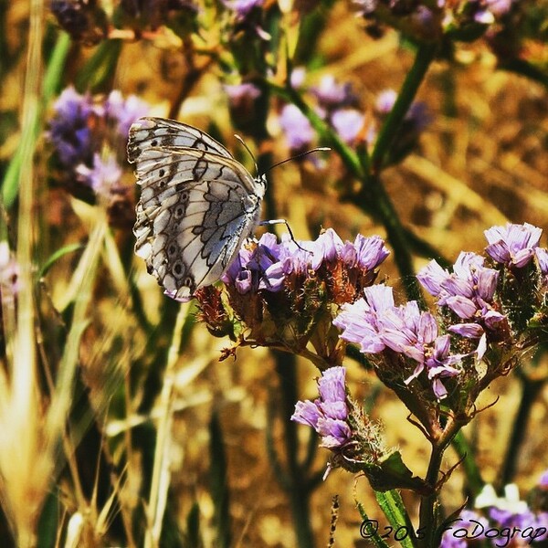 #INSTALIFO: Δευτέρα 24 Αυγούστου