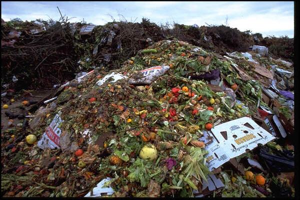 Πρόστιμο σε όσους πετούν φαγητό στα σκουπίδια θα επιβάλει το Σιάτλ