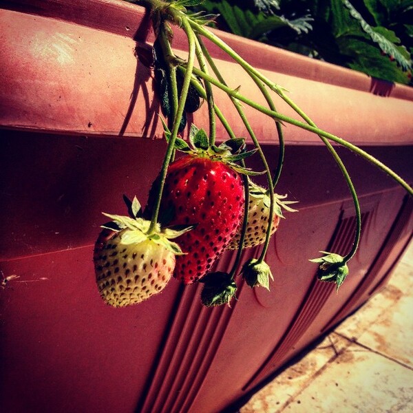 #INSTALIFO: Τετάρτη 24 Ιουνίου