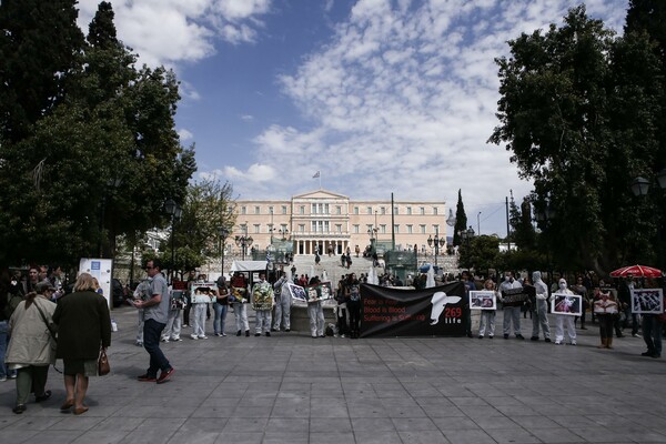 Γυμνοί στην Αριστοτέλους για τα ζώα