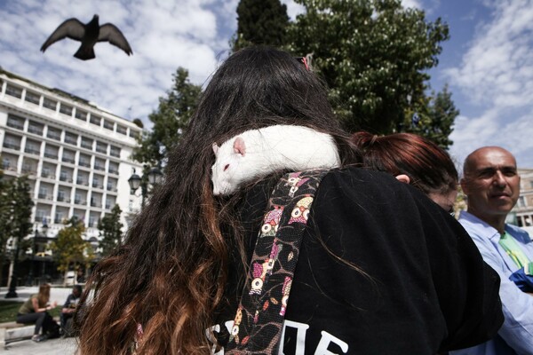 Γυμνοί στην Αριστοτέλους για τα ζώα