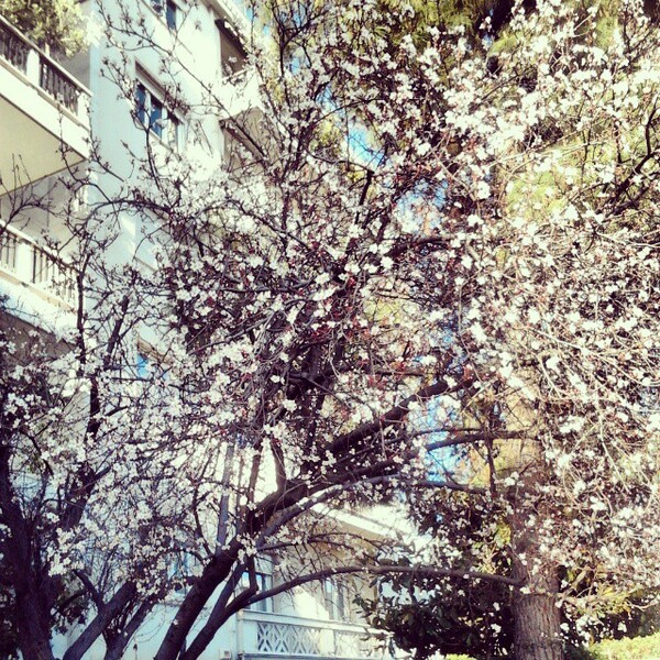 #INSTALIFO: Τετάρτη 4 Μαρτίου