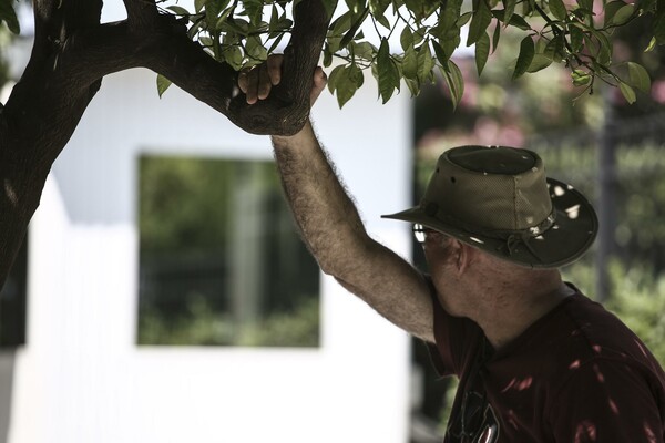 Αύριο το πρώτο μεγάλο κύμα ζέστης