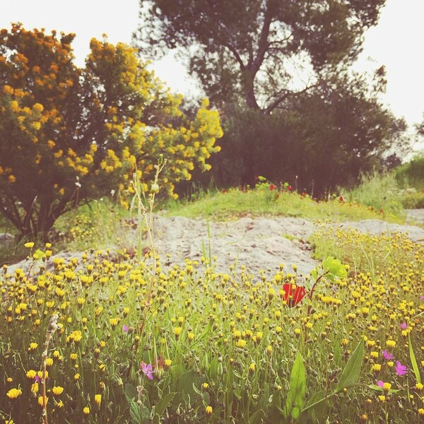 #INSTALIFO: Tρίτη 28 Απριλίου