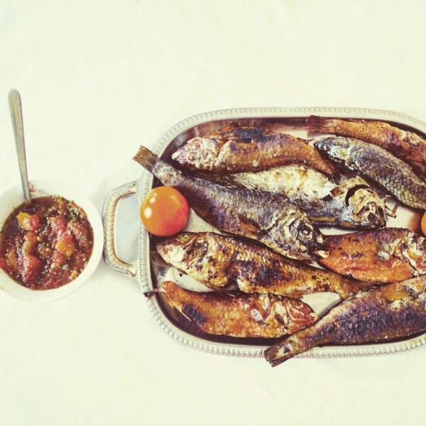 lifokitchen#98