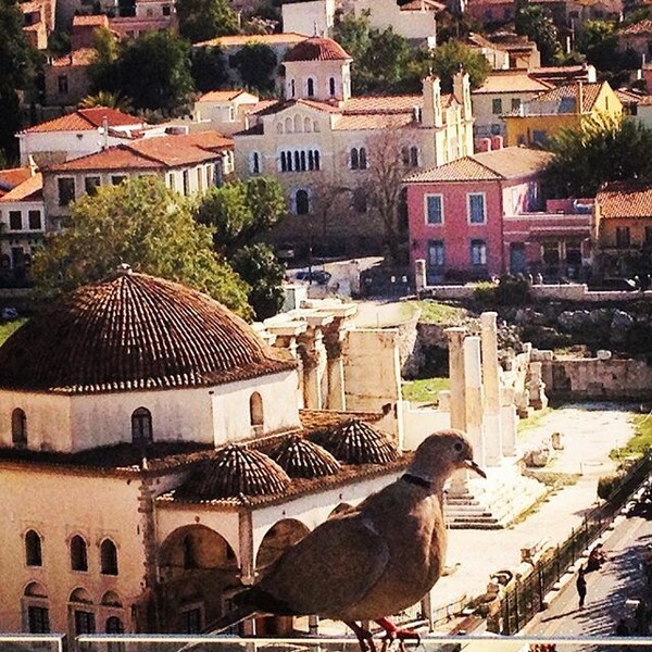 #INSTALIFO: Tετάρτη 14 Οκτώβρη