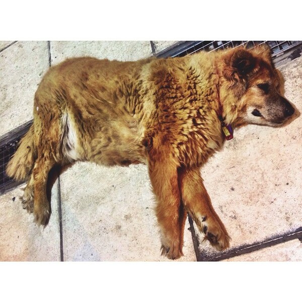 INSTA#LIFO: Tρίτη 16 Σεπτεμβρίου
