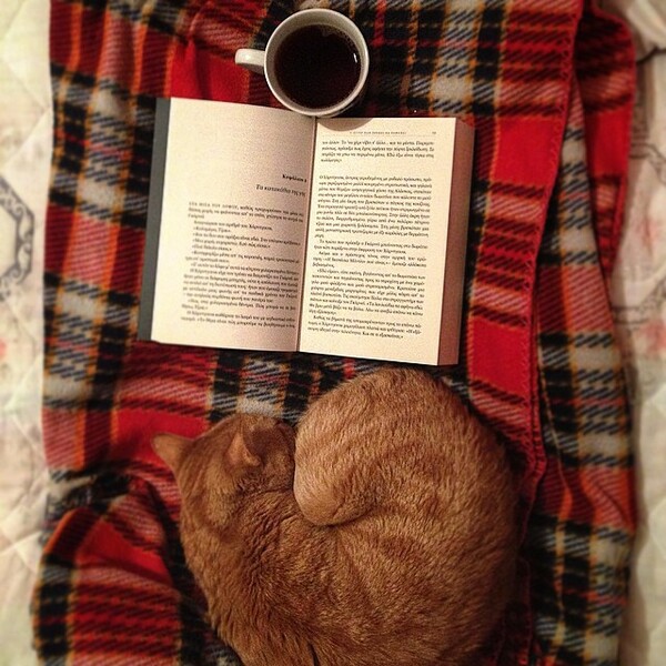 #LIFOPETS (83): Αυτά είναι τα κατοικίδιά μας