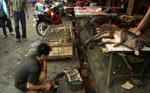 H αγορά κολαστήριο της Ινδονησίας [ΣΚΛΗΡΕΣ ΕΙΚΟΝΕΣ]