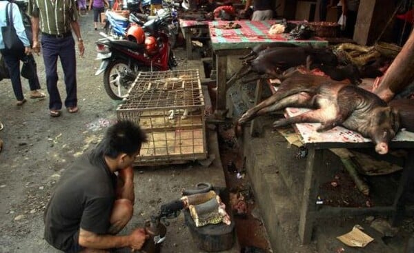 H αγορά κολαστήριο της Ινδονησίας [ΣΚΛΗΡΕΣ ΕΙΚΟΝΕΣ]