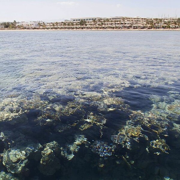 #INSTALIFO: Τρίτη 6 Οκτωβρίου