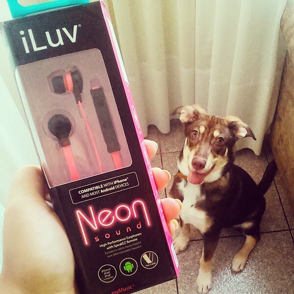 #LIFOPETS (61): Αυτά είναι τα κατοικίδιά μας