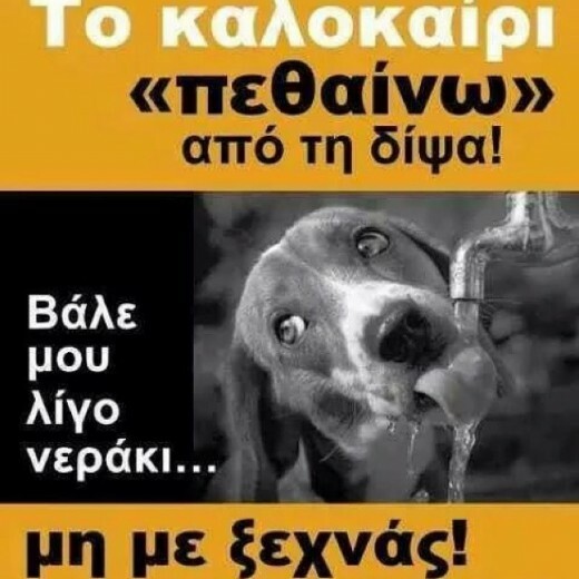 #LIFOPETS (59): Αυτά είναι τα κατοικίδιά μας