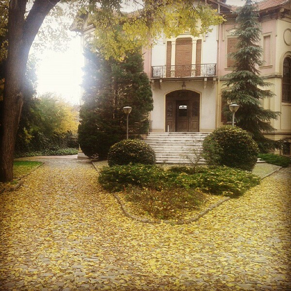 #INSTALIFO: Παρασκευή 5 Δεκεμβρίου