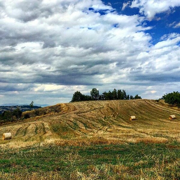 #INSTALIFO: Τρίτη 8 Σεπτέμβρη