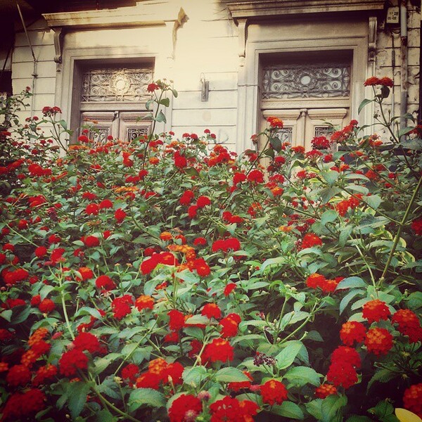 #INSTALIFO: Τρίτη 21 Ιουλίου