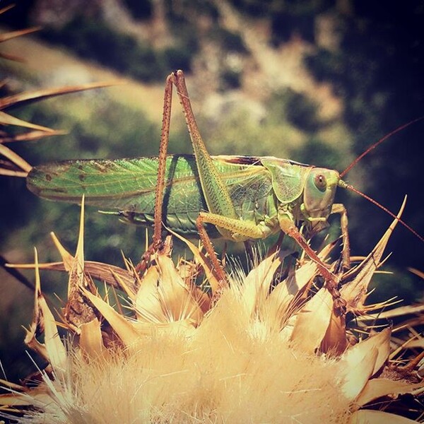 #INSTALIFO: Τρίτη 14 Ιουλίου