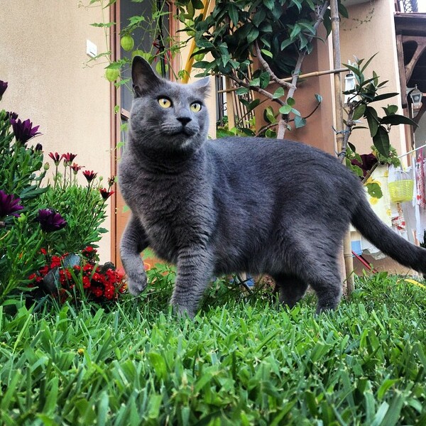 MEGA INSTA#LIFO: Παρασκευή 22 Αυγούστου