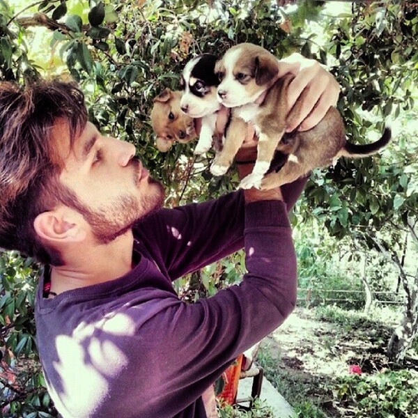 #LIFOPETS (80): Αυτά είναι τα κατοικίδιά μας