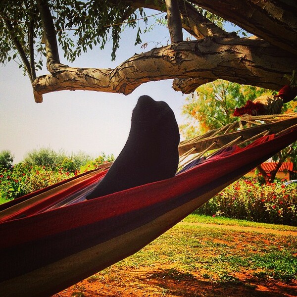 INSTA#LIFO: Δευτέρα 22 Σεπτεμβρίου