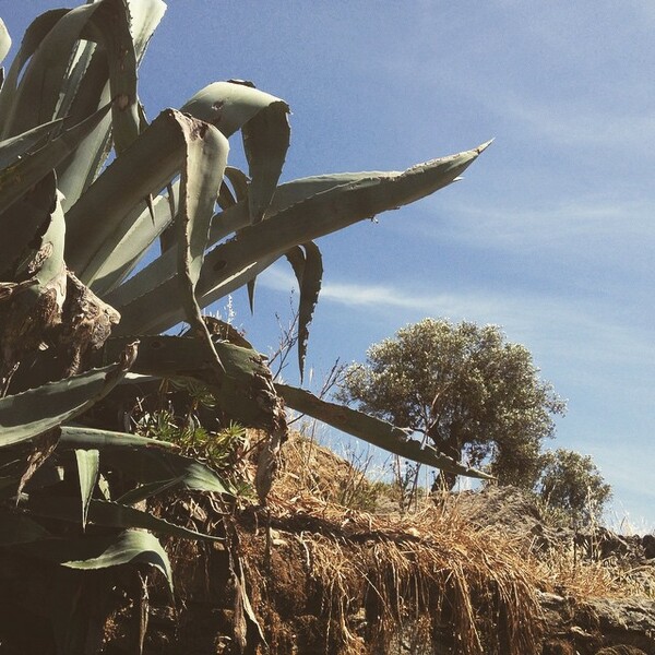 #INSTALIFO: Τρίτη 9 Ιουνίου