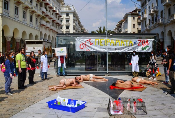 Γυμνοί στην Αριστοτέλους για τα ζώα