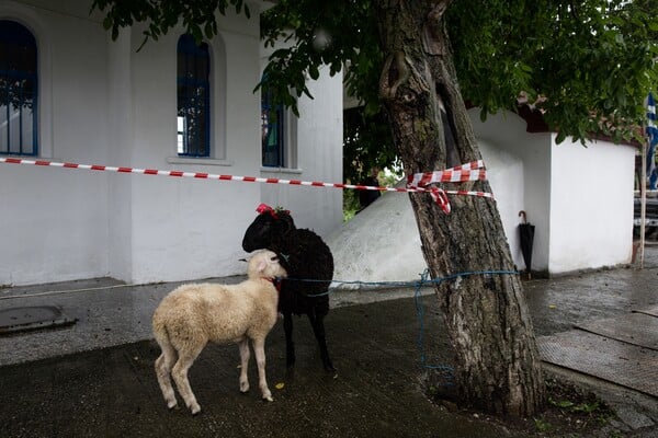 Έκσταση και χορός σε αναμμένα κάρβουνα - Τα μυσταγωγικά Αναστενάρια της Αγίας Ελένης