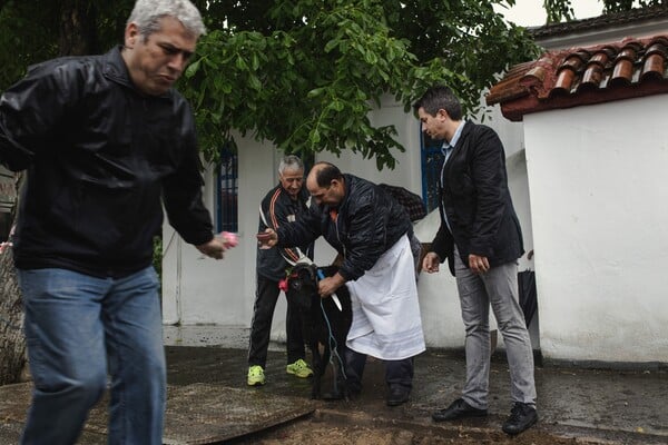 Έκσταση και χορός σε αναμμένα κάρβουνα - Τα μυσταγωγικά Αναστενάρια της Αγίας Ελένης