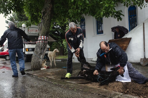 Έκσταση και χορός σε αναμμένα κάρβουνα - Τα μυσταγωγικά Αναστενάρια της Αγίας Ελένης