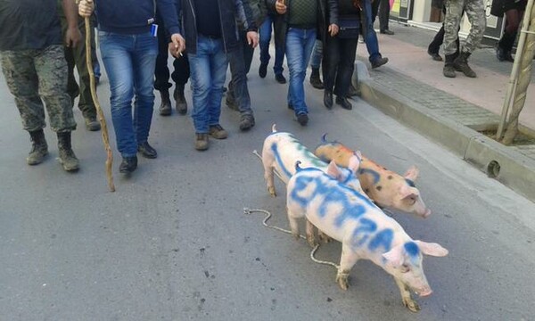 Τα τρία γουρουνάκια στην αληθινή, διεστραμμένη εκδοχή του παραμυθιού