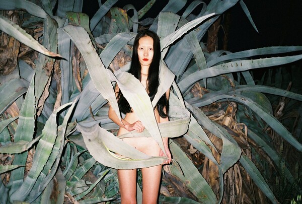 Όταν ο Ren Hang, που πέθανε σήμερα, φωτογράφιζε γυμνά στη φύση της Αθήνας