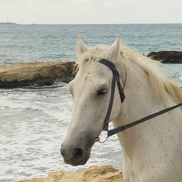 30 νέες φωτογραφίες απ' τα τέλεια ζώα των αναγνωστών μας