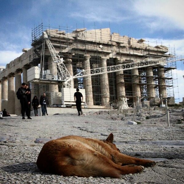 40 νέες φωτογραφίες των αναγνωστών μας, στο σημερινό INSTALIFO