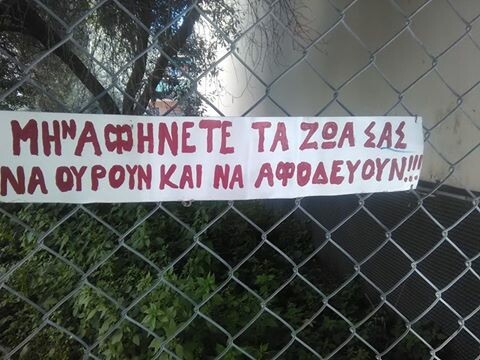 25 απ' τις πιο αστείους λόγους που εμείς οι Έλληνες έχουμε τα πάντα!
