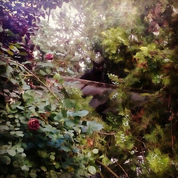 30 νέες φωτογραφίες των αναγνωστών μας, στο σημερινό INSTALIFO