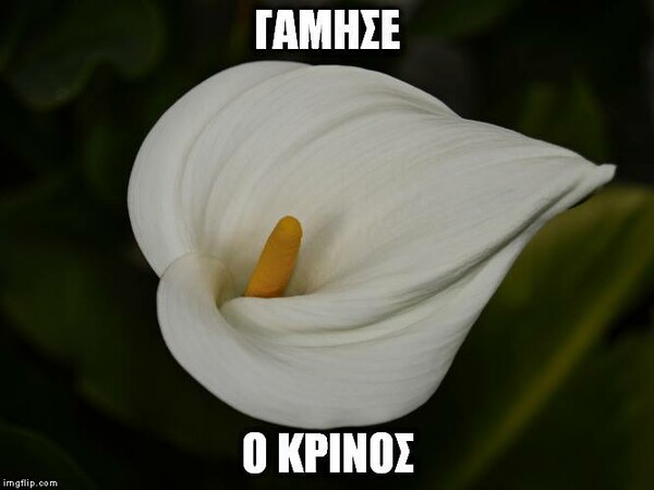 55 μικροπράγματα που ΙΣΩΣ σας φτιάξουν τη διάθεση αυτά τα Χριστούγεννα